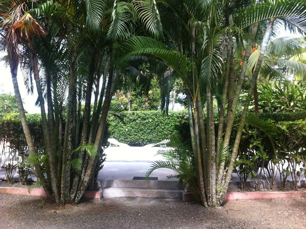 Villas Majolana Playa Herradura  外观 照片